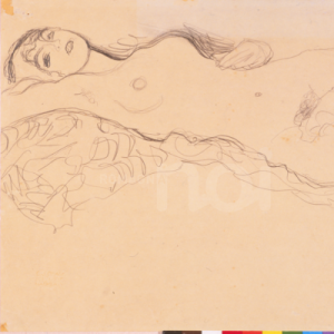 Nudo femminile - Gustav Klimt - 1904