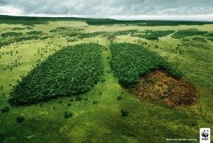 WWF-Amazzonia