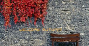 WELCOME AUTUMN1