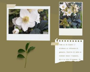 mini_Brown Minimalist Interior Design Mood Boards Photo Collage